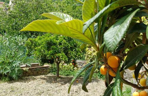 Country House B&B Antica Dimora Del Sole - Foto 57