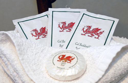 Yr Hen Glowty - Photo 23