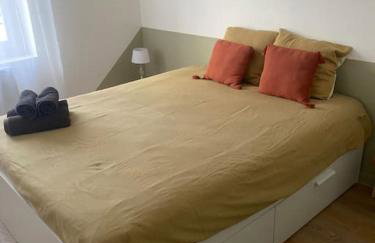 Charmant appartement-20 min Lyon-proche Aéroport-Eurexpo - Foto 11