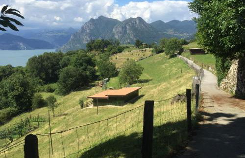 L'Isola dei Sapori - Foto 33