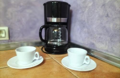 Don Mauricio y periquines - Foto 4