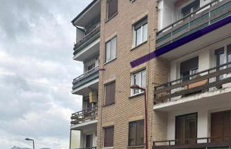 Los tucanes - Photo 14