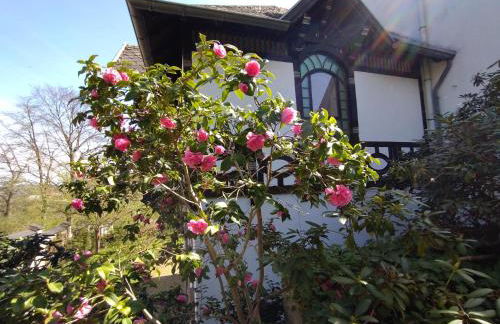 Historisches Haus am Triller - Foto 20