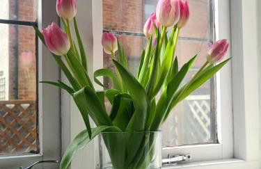 Wren Cottage - Foto 6