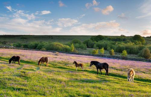 1 Bed in Totnes oc-88096 - Photo 17