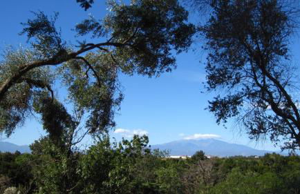 Mas Miraflors - Foto 47