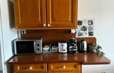 Gîte urbain au calme en rez de jardin proche Groupama stadium salle Arena EUREXPO Lyon - Foto 9