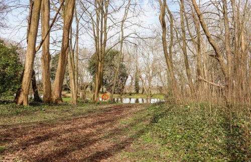 Lilyrose Cottage - Foto 25