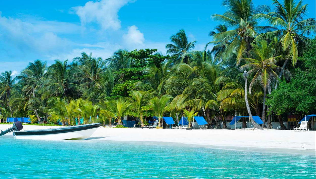 Fauna Coralina Snorkelling Activity - Foto 1