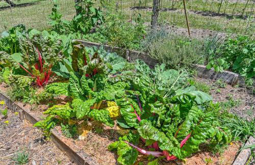 Romantic Garden Studio - 1BR - Indoor Fireplace - Foto 22