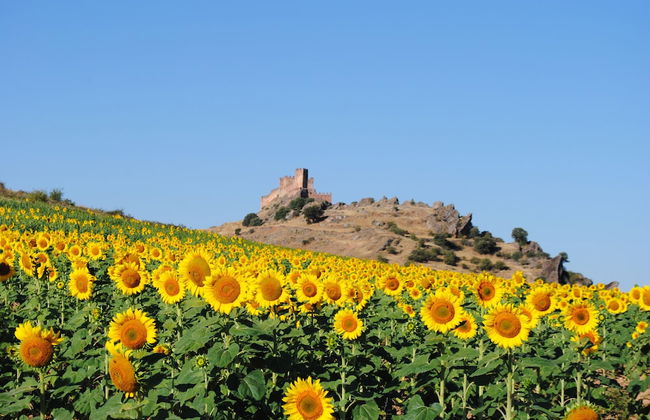 Castillo De La Riba - Foto 18