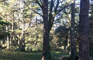 La Cachette d Oona, Grand gîte nature et familles - Foto 44