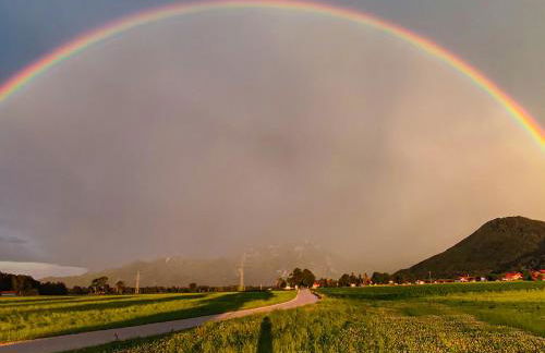 Landhaus Koch - Foto 6