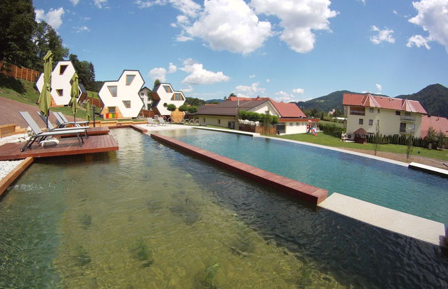 Apartments Beeland Skok Mozirje - Foto 25