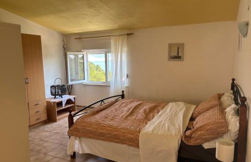 Apartmani Fijan - Photo 5