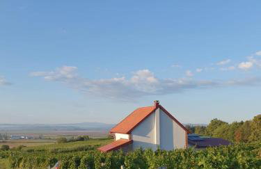 Kuća za odmor Baron - Foto 35