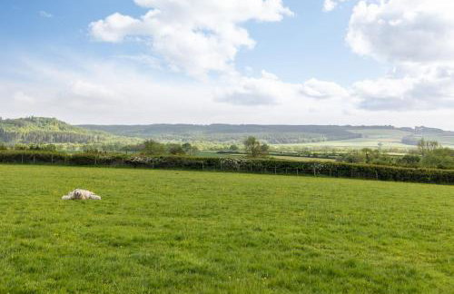 Ashberry Glamping Pod - Photo 11