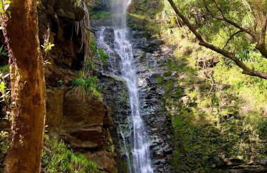 Maui Eco Retreat - Foto 34