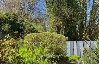 Cedar Lodge - Foto 5