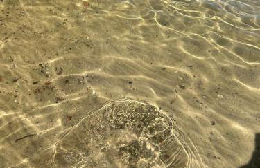 Mazury Przyjazny Dom w Leleszkach z gorącą balią - Photo 59