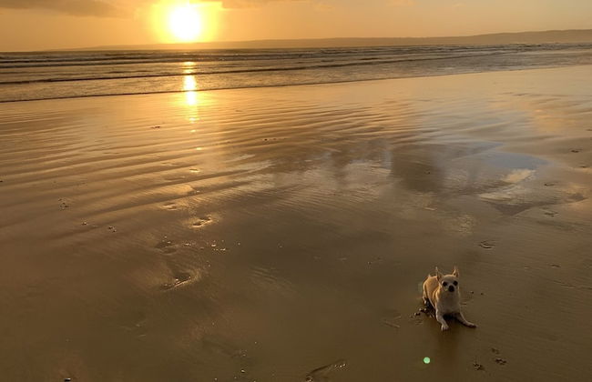 Tindoona Cottages - Foto 28