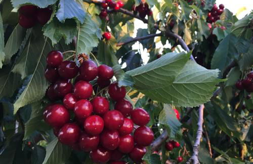 Cabañas Imagina - Foto 20