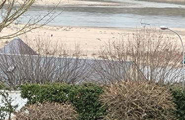 Joli appartement avec vue sur la Loire - Foto 26