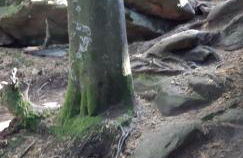 Fels- und Seenland - Foto 20