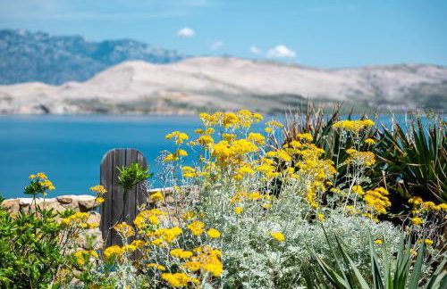 Seaview family apartments Dubrava - Photo 51