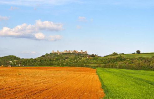 Lovely Apartment In Monteriggioni - Foto 9