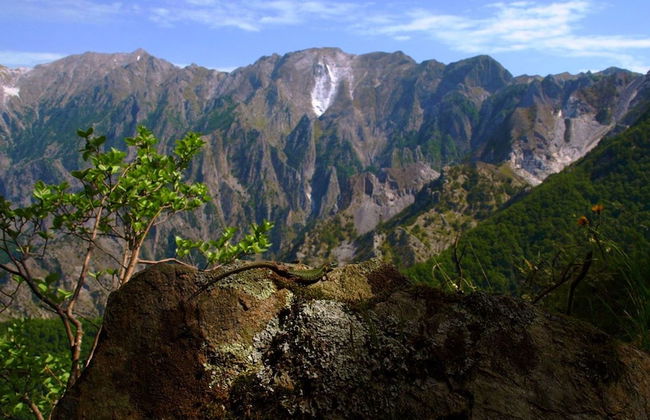 Belvilla by OYO Serena - Foto 34