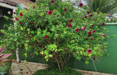 Casa com Piscina Morada da Praia - Photo 9