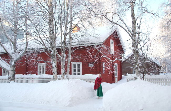 LAURI Historical Log House Manor - Photo 44