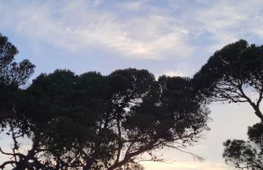 Mansarda Vista Mare Nel Verde - Foto 12