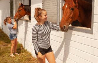 FEWO Reitanlage bei Altefähr - Foto 32