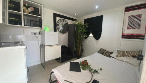 1 Bedroom studio - Photo 5