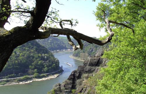 Peak11 Fewo- Panorama View Lahnstein Pool & Sauna - Foto 30