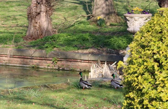 Mansion Annexe - Private 5 Acres-stunning Grounds - Photo 8