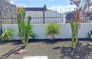 Splendid Casa Nostra, private pool, Wifi, garden - Foto 18