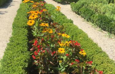 LA GARDE ADHEMAR, L'escalier Médiéval - Foto 60