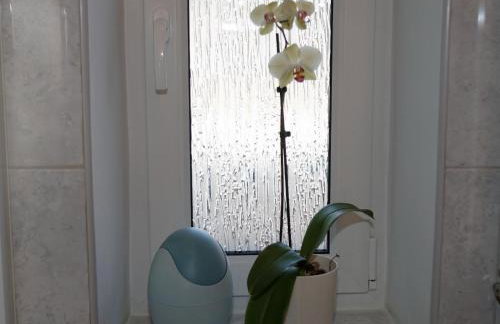 Apartment in ruhiger Lage am Waldrand by Interhome - Photo 7