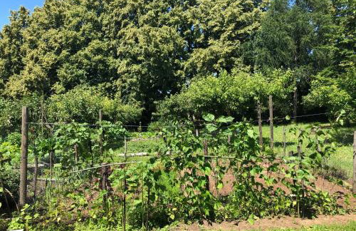 Czytelnia w Sadzie - Foto 40