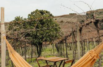 CABANAS LE VIGNE - Foto 22