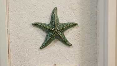 Studio calme et très lumineux, au pied de notre Dame de la Garde - Foto 2, Lobby or reception