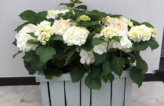 Agriturismo Ca Du Briccu - Foto 27