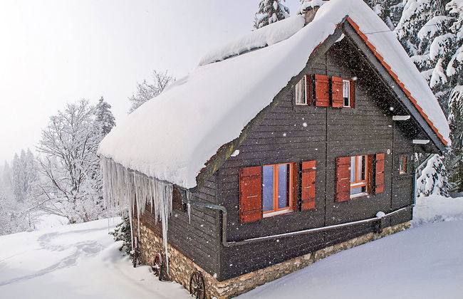 Chalet de la Vue des Alpes - Foto 27