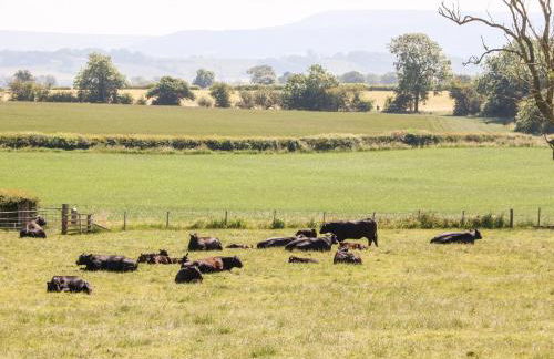 Lovesome Pod - Foto 19