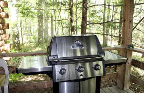 Pet-Friendly Cabin Rental in the Mountains near Beckley, West Virginia - Foto 20