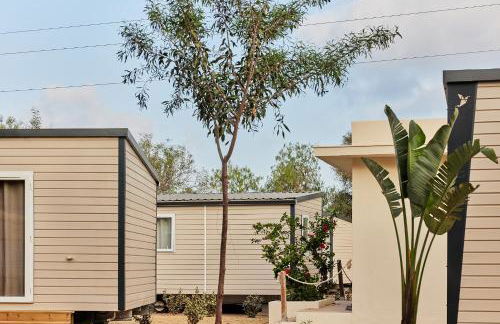 Taiga Almeria Playa - Photo 33