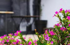 Camiño do Mar - Foto 16